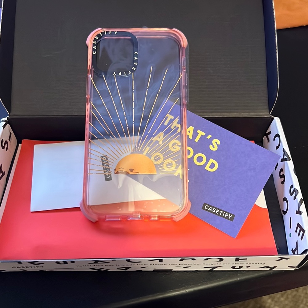 iPhone 11 Pro max case